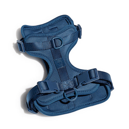 Wild One Navy Dog Harness | Smack Bang