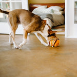 P.L.A.Y. American Classic Burger Dog Toy | Smack Bang