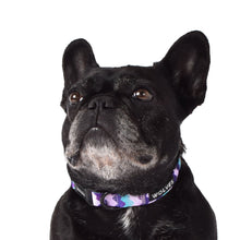 Wolves of Wellington Sulley Dog Collar | Smack Bang