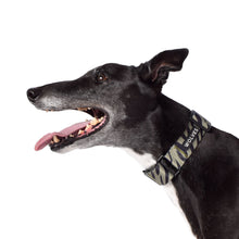 Wolves of Wellington Rambo Greyhound Collar | Smack Bang