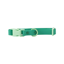 Approved By Fritz Liberty Green Dog Collar | Smack Bang