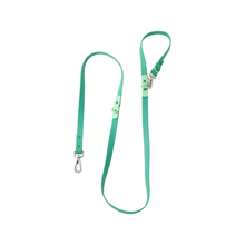Approved By Fritz Liberty Green Dog Leash | Smack Bang