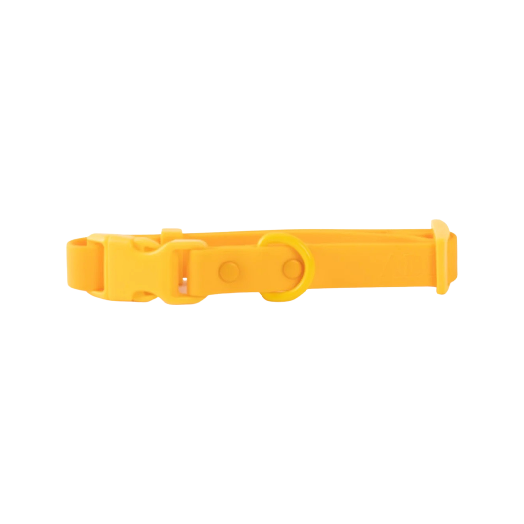 Mango clearance dog collar