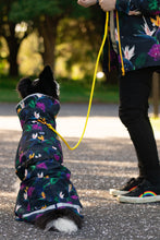 Scribbler Paradiso Waterproof Dog Coat | Smack Bang
