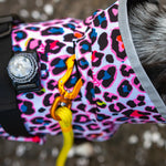 Scribbler Pets Neon Leopard Dog Waterproof Coat | Smack Bang