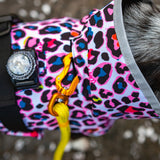 Scribbler Pets Neon Leopard Dog Waterproof Coat | Smack Bang