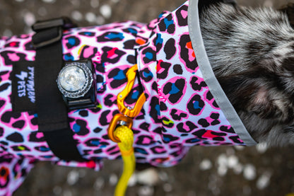 Scribbler Pets Neon Leopard Dog Waterproof Coat | Smack Bang