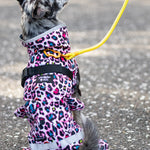 Scribbler Pets Neon Leopard Dog Waterproof Coat | Smack Bang
