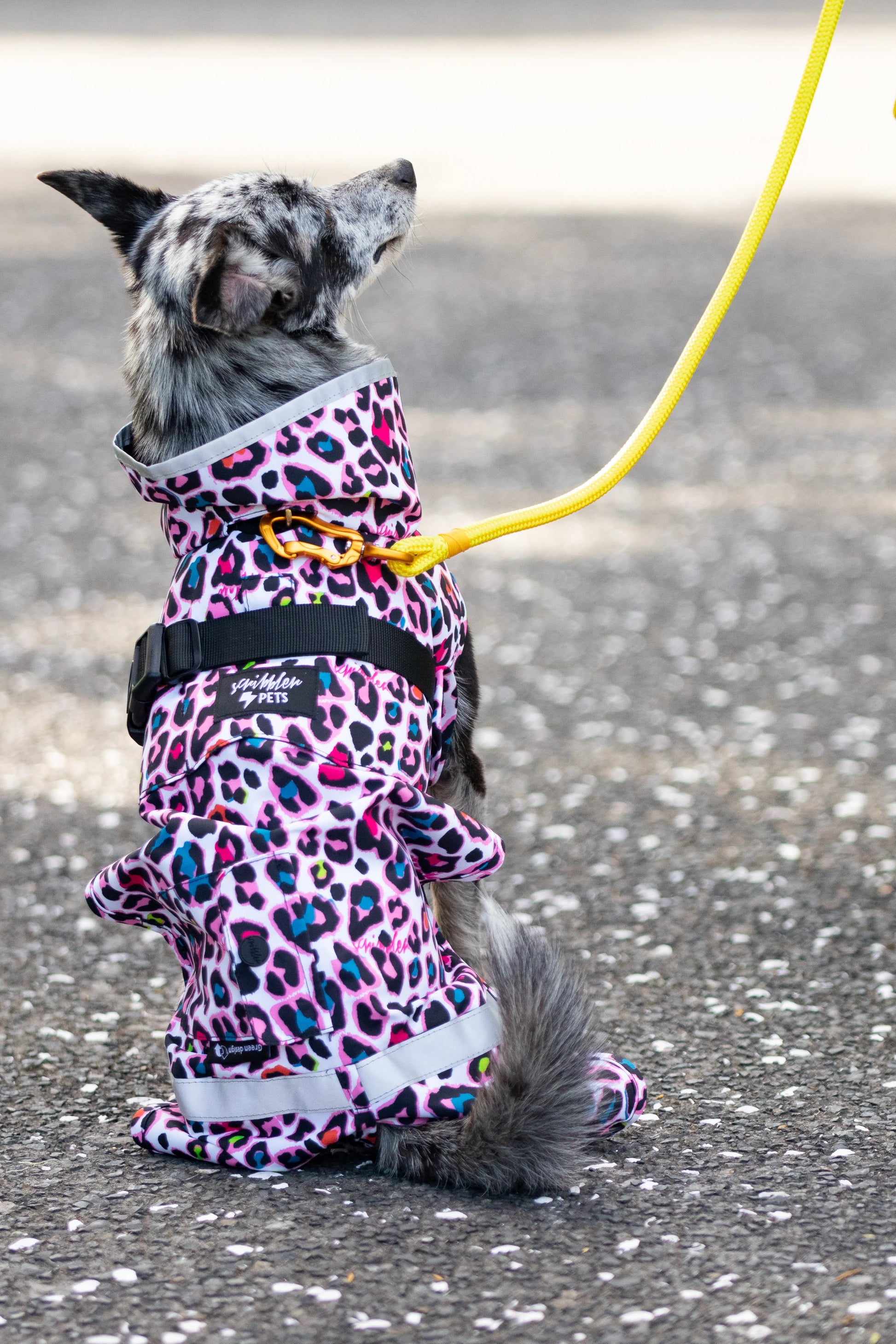 Scribbler Pets Neon Leopard Dog Waterproof Coat | Smack Bang