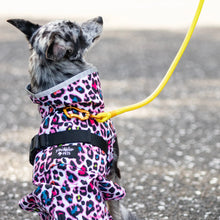 Scribbler Pets Neon Leopard Dog Waterproof Coat | Smack Bang